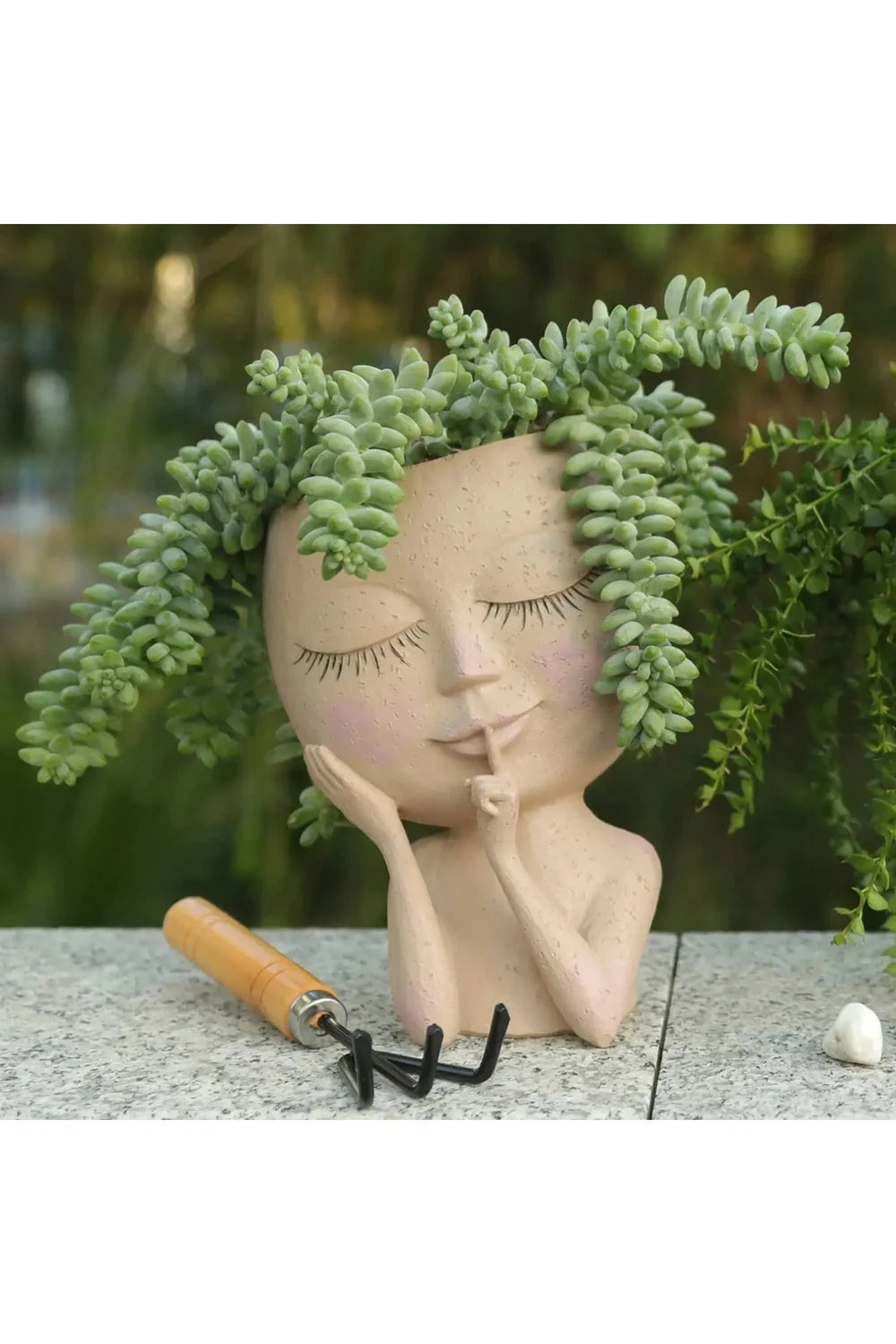 Lisslune | Succulent Plants Pot