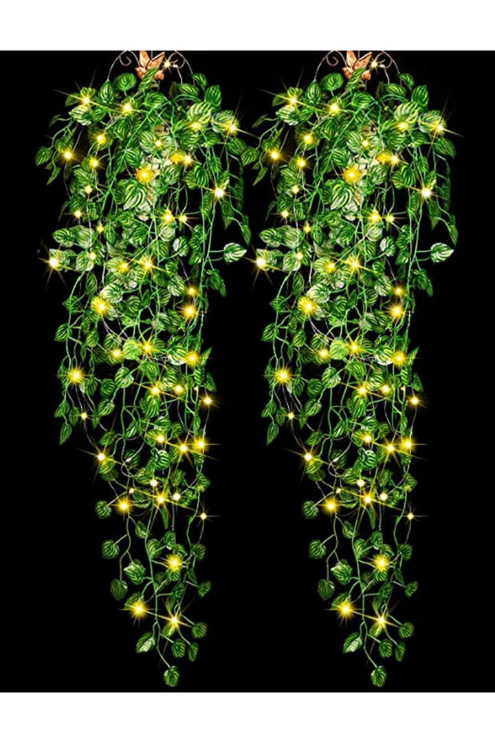 Lisslune | Ivy vine decor