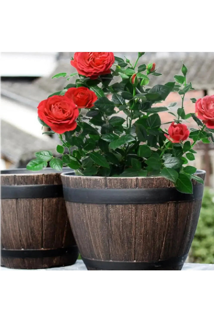 Lisslune | Wood Barrel Plant Pot