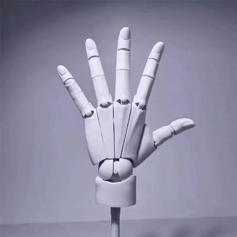 Lisslune | Multi-Pose Drawing Sculpting Art Hand Model