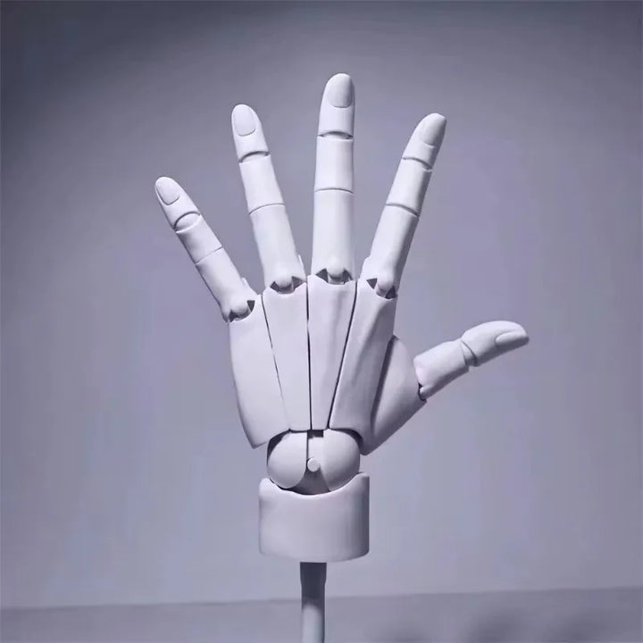 Lisslune | Multi-Pose Drawing Sculpting Art Hand Model