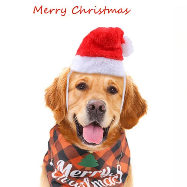 Lisslune | Red Christmas hat