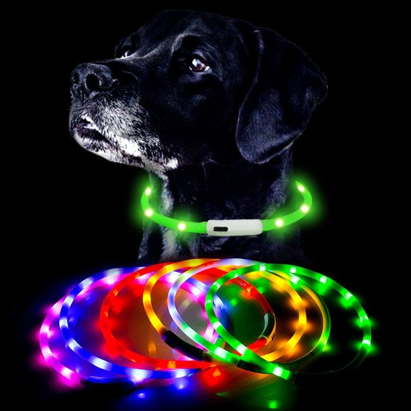 Lisslune | Illuminated rechargeable USB dog grooming for optimal night safety and visibility