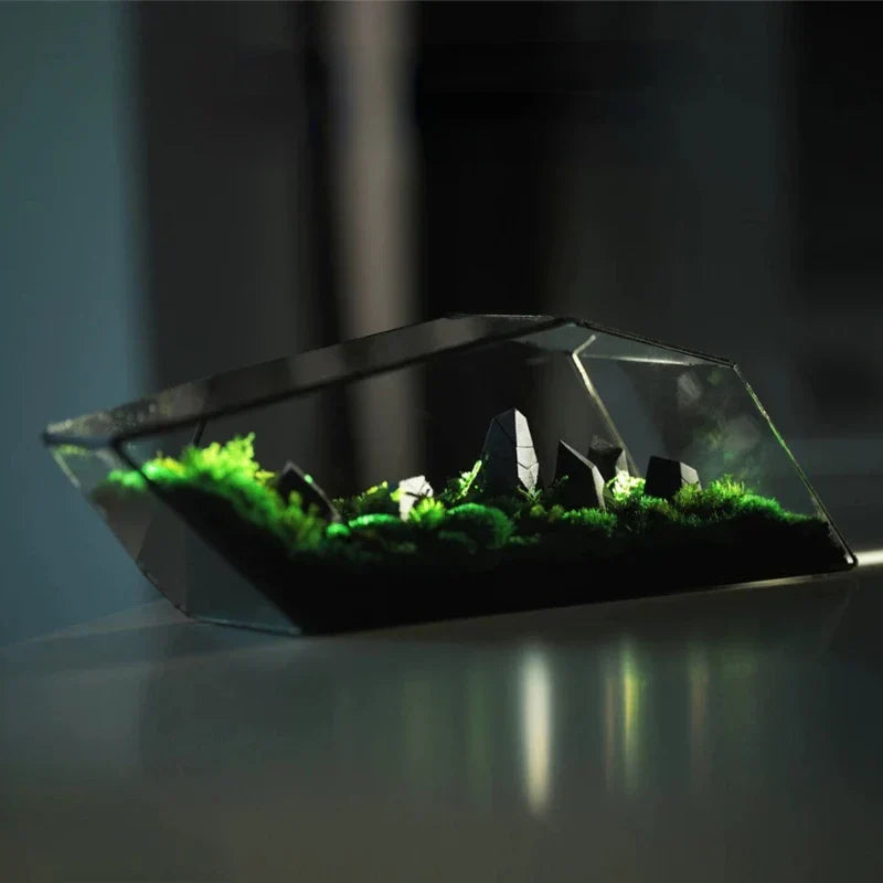 Lisslune | Geometric Glass Moss Planter Terrarium Vase