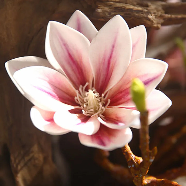 Lisslune | Artificial Magnolia Flowers