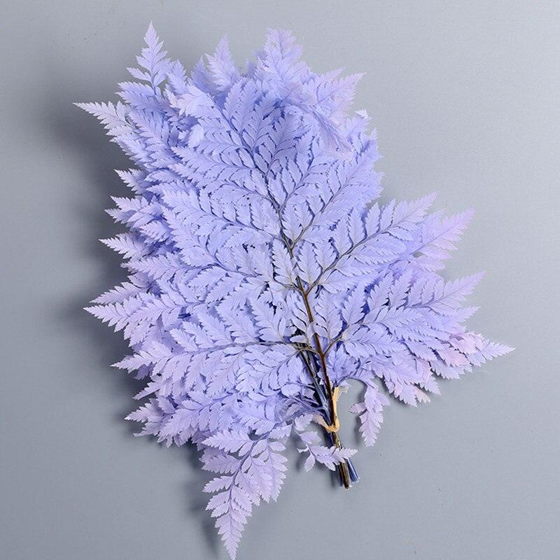 Lisslune | Alpine Serenity Fern Decor Kit: Bring the Essence of Nature Indoors
