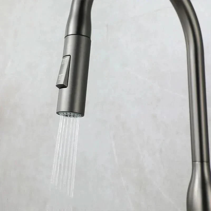Lisslune | Stainless Steel Kitchen Faucet with Pull-Out Sprayer