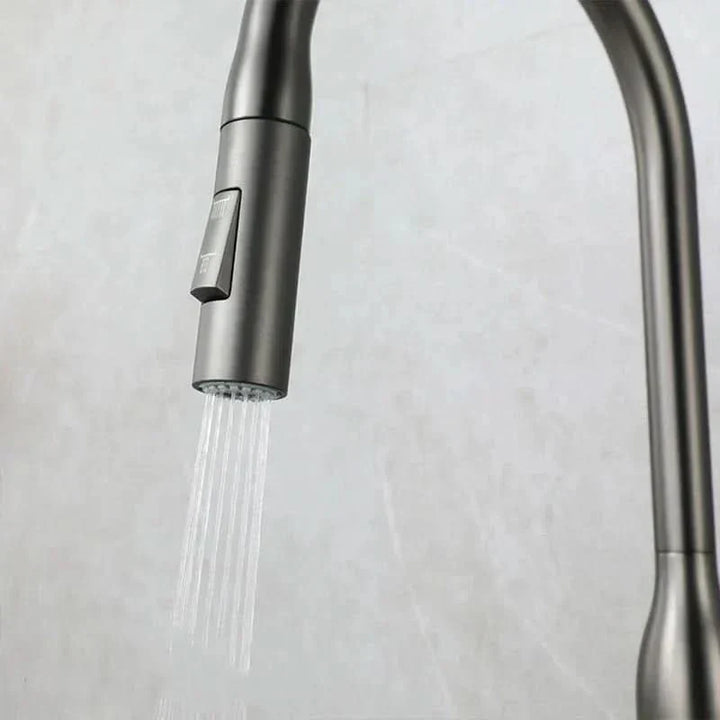 Lisslune | Stainless Steel Kitchen Faucet with Pull-Out Sprayer