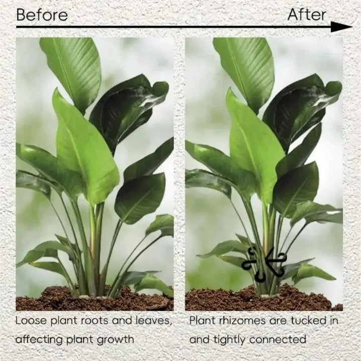 Lisslune | 12-Pack Eco-friendly Plant Support Frames - Stylish Trellis for Enhanced Plant Growth