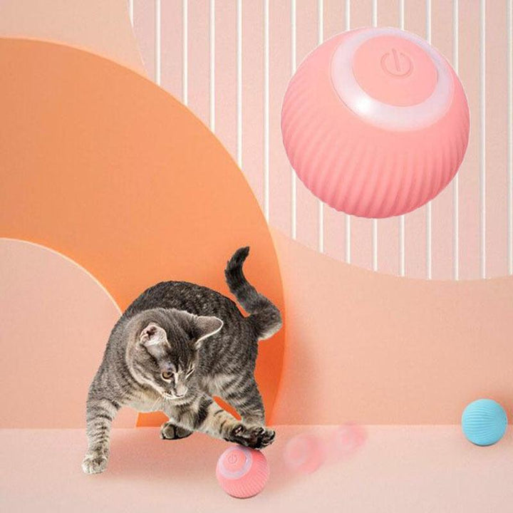 Lisslune | Smart Rolling Cat Toy: Interactive fun for indoor kittens