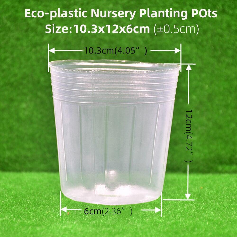 Lisslune | 100-piece clear plant growth cups: Successfully boost your garden