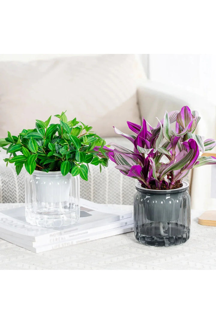 Lisslune | Self-watering flower pot