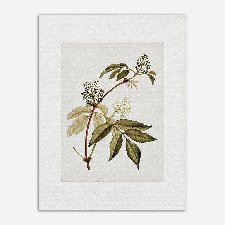 Lisslune | Kitchen canvas poster