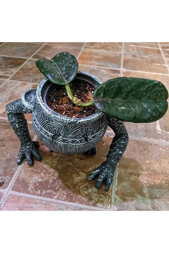 Lisslune | Jar-Garden Plant Pot