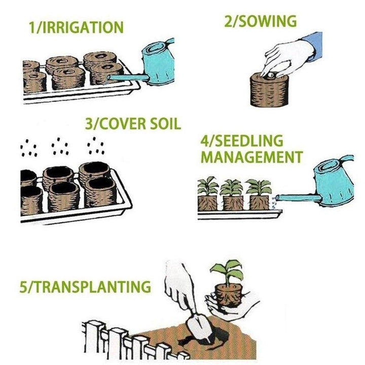 Lisslune | Sustainable Seedling Starter Kit with Biodegradable Peat Blocks for Flowering Gardens