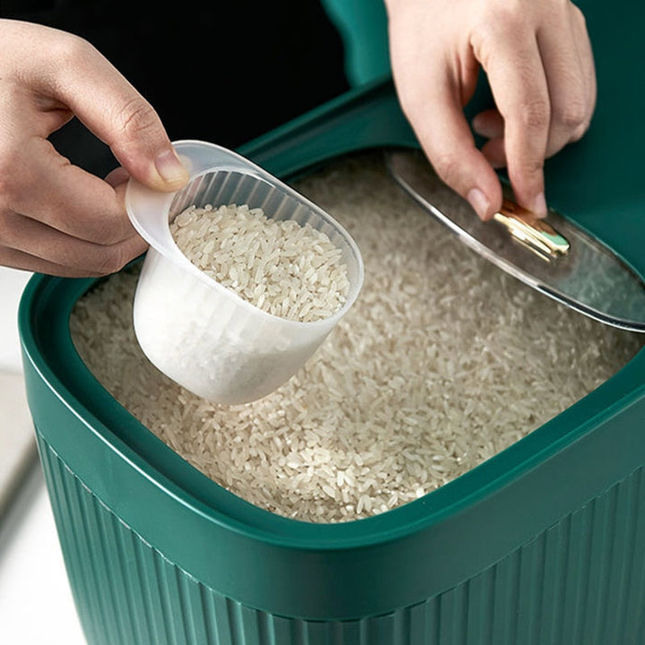Lisslune | Large Capacity Grain Container Organizer Box