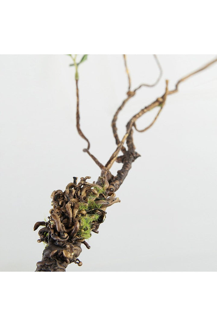 Lisslune | Tote Branch Elegance
