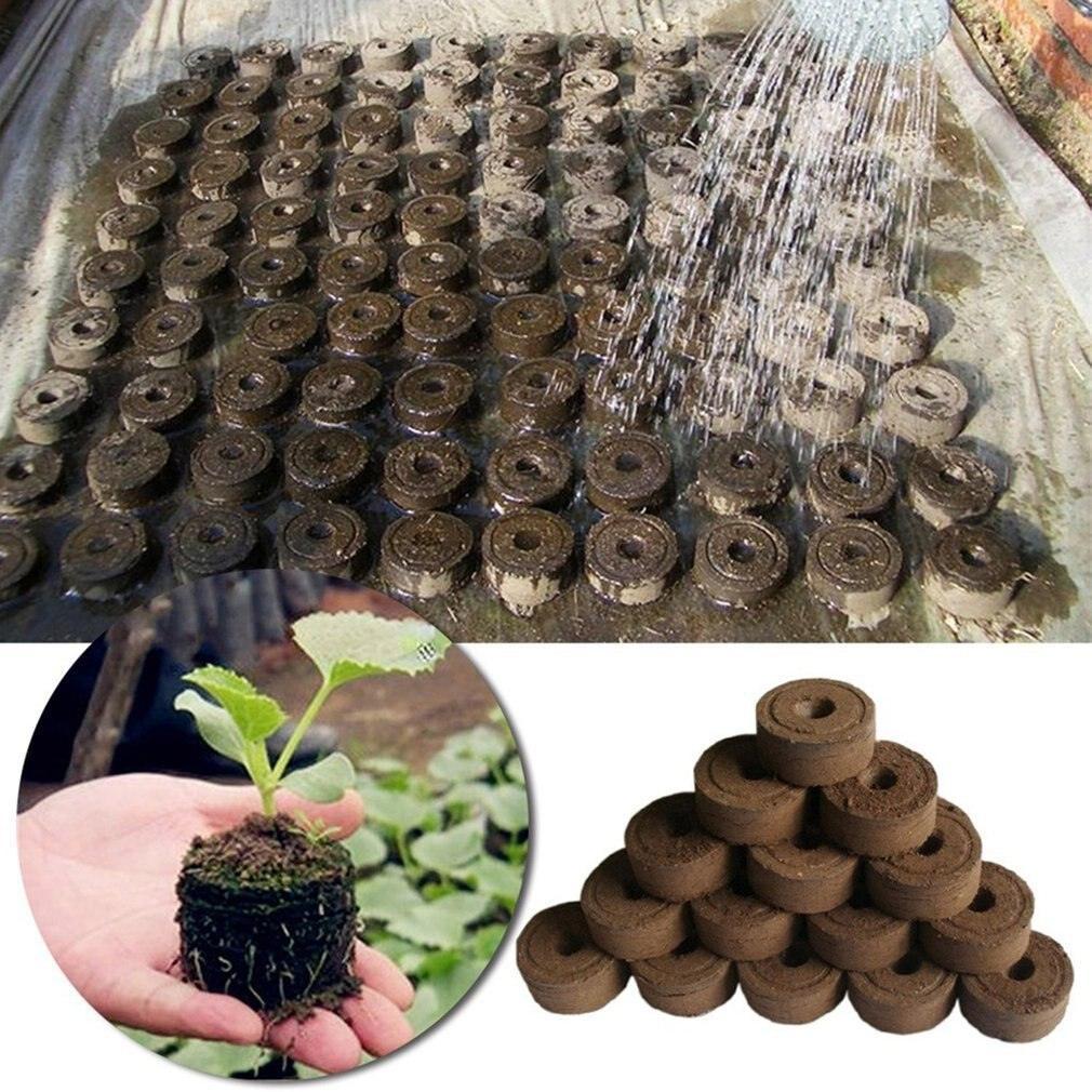 Lisslune | Sustainable Seedling Starter Kit with Biodegradable Peat Blocks for Flowering Gardens