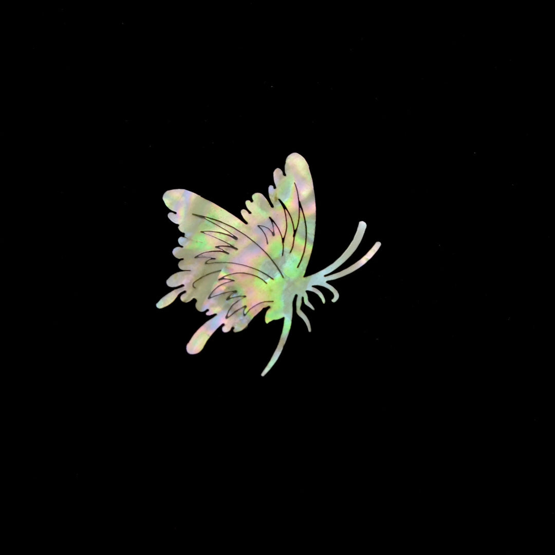 Lisslune | Iridescent Abalone Shell Art Flakes for Creative Masterpieces