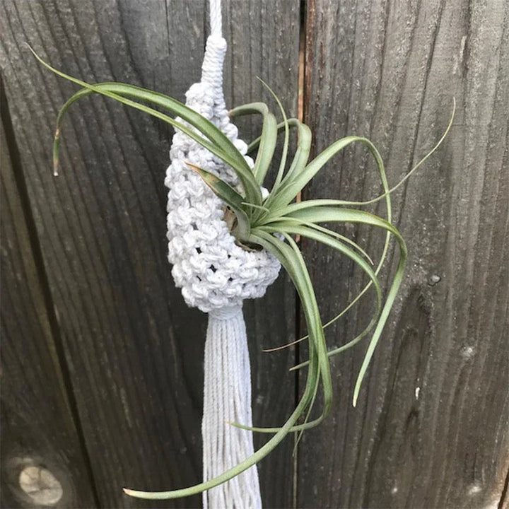 Rynx | Handmade Macrame Air Planter Hanging Pot Pineapple Climbing Vine Flowers Flower Container Net Hanger Tapestry Boho Decor