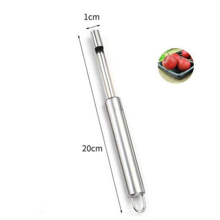 Lisslune | Apple Fruit Seed Remover