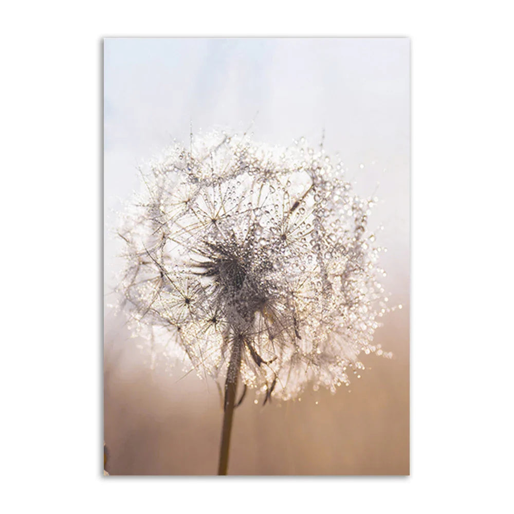 Lisslune | Academia Reed Canvas Poster