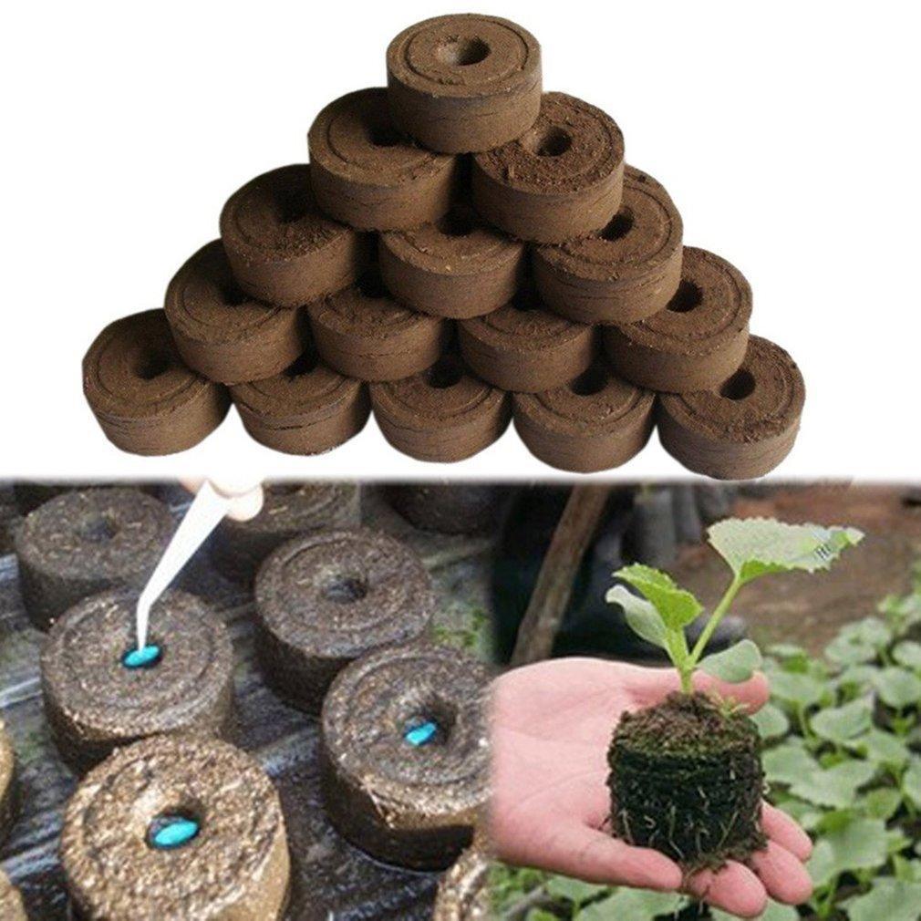 Lisslune | Sustainable Seedling Starter Kit with Biodegradable Peat Blocks for Flowering Gardens