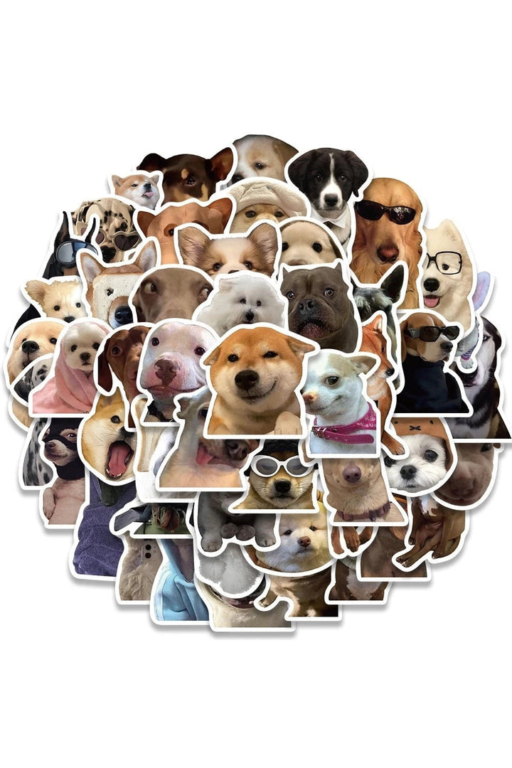 Lisslune | Cat Meme Funny Stickers 10/30/50/100 Pieces