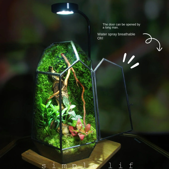 Lisslune | Modern Geometric Nature-Inspired Botanical Terrarium