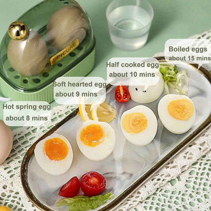 Lisslune | Mini Electric Egg Steamer Machine