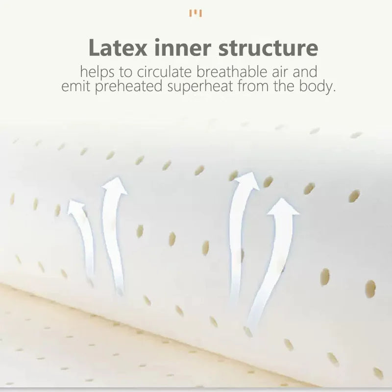 Lisslune | Ultra Cooler Latex Washable Comfortable Reading Backrest