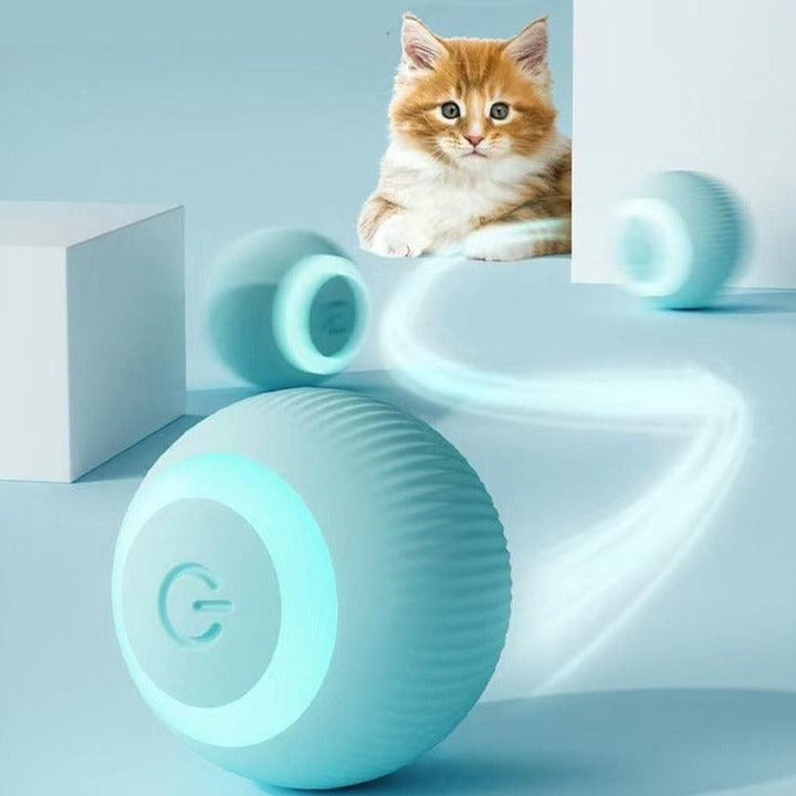 Lisslune | Smart Rolling Cat Toy: Interactive fun for indoor kittens