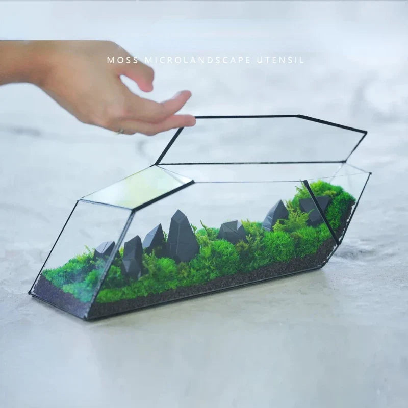 Lisslune | Geometric Glass Moss Planter Terrarium Vase