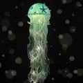 Lisslune | Jellyfish LED Night Light