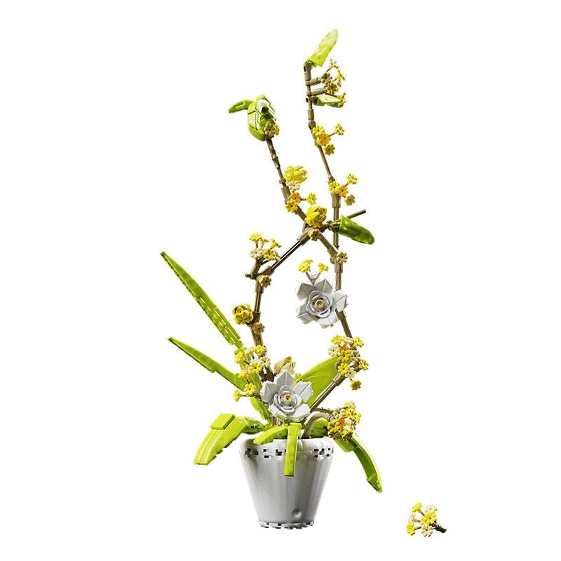 Lisslune | Creative Osmanthus Fragrans Orchid Flower Arrangement Kit for All Ages