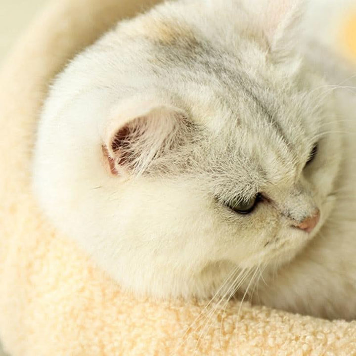 Lisslune | MeowHaven Nest – Stylish Cat Bed with Scratching Area & Cuddly Pillow