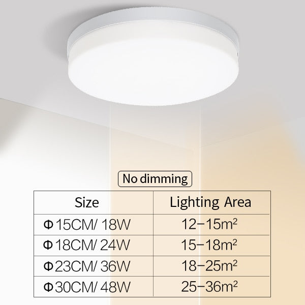 Lisslune | Natural Room Sleek LED Ceiling Light