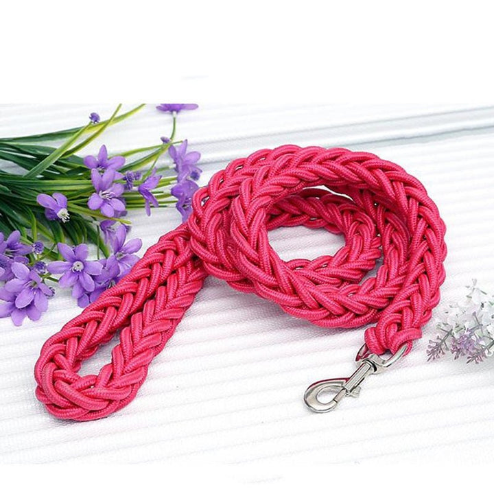 Lisslune | Braided short dog leash for large dogs