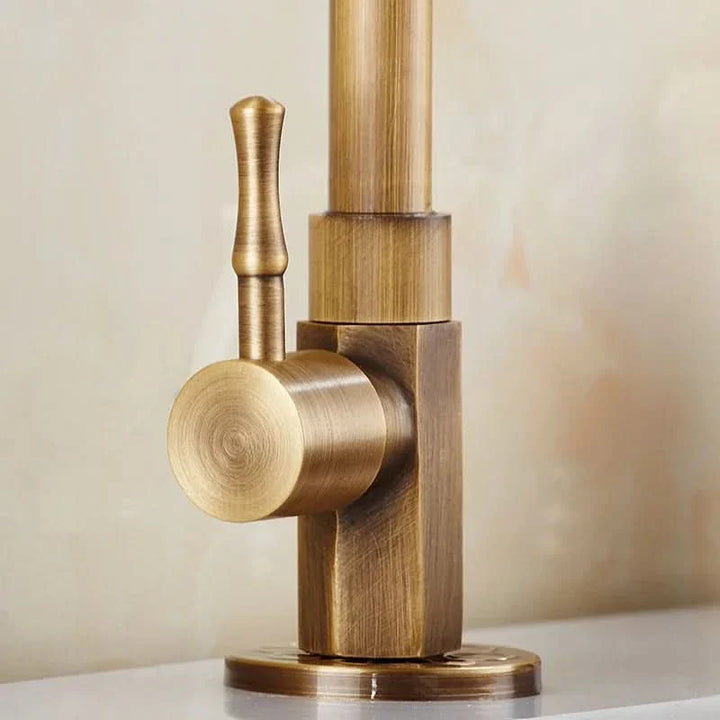 Lisslune | Antique faucet in a swan neck design for kitchen & garden