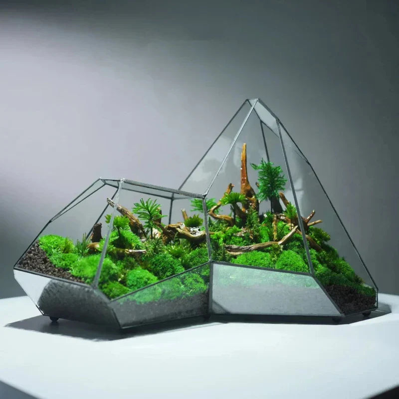 Lisslune | Geometric Glass Moss Planter Terrarium Vase