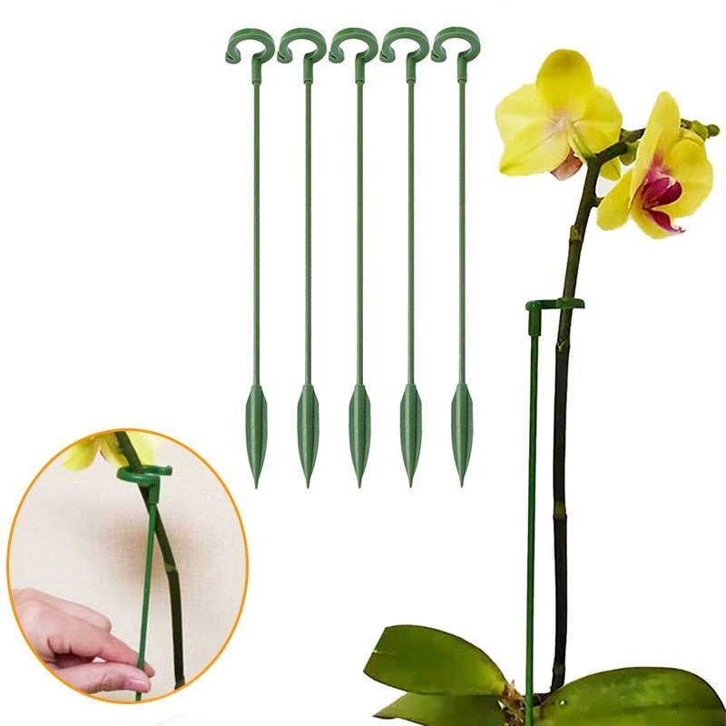 Lisslune | Plant support perennial holder shrub support orchid stake (5 pieces)