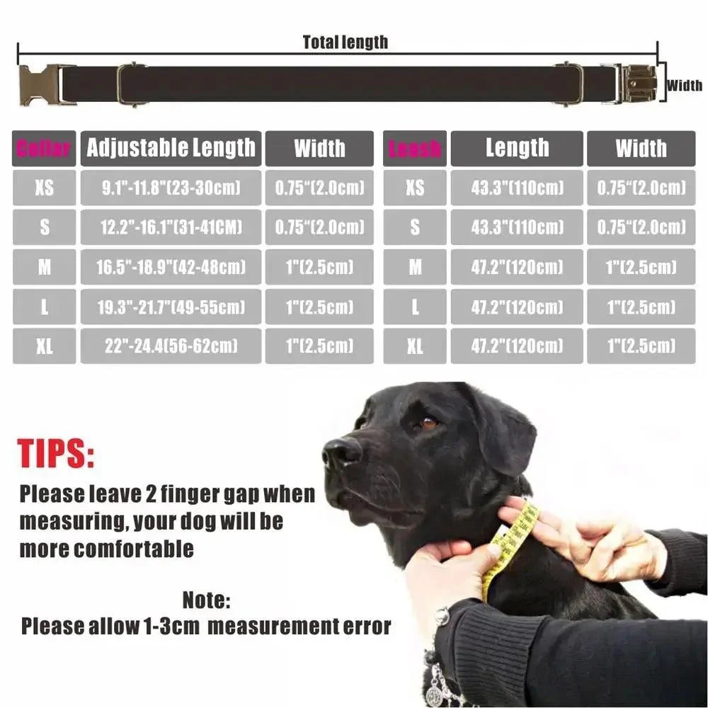 Lisslune | Personalized Luxury Velour Dog Collar with Engraved Name Tag and Matching Leash