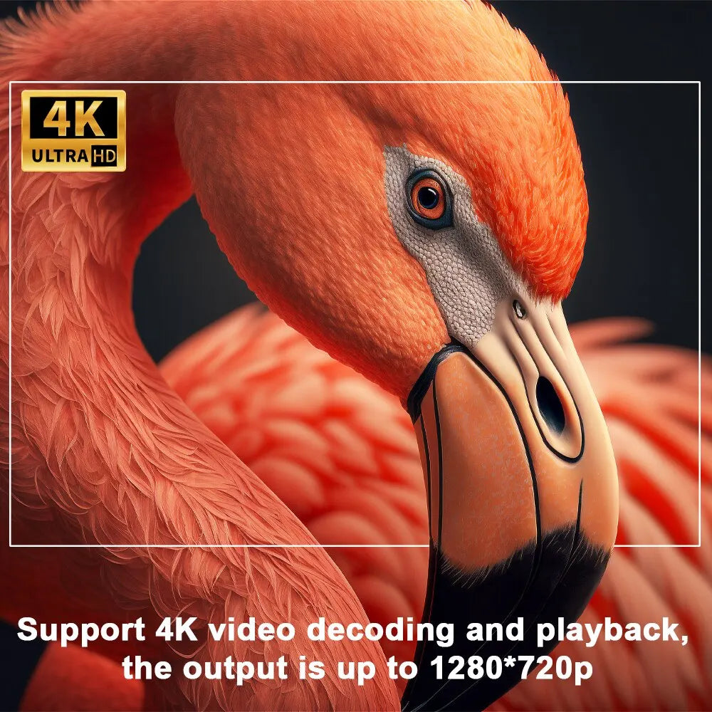 Lisslune | – 4K Android Projector Pro
