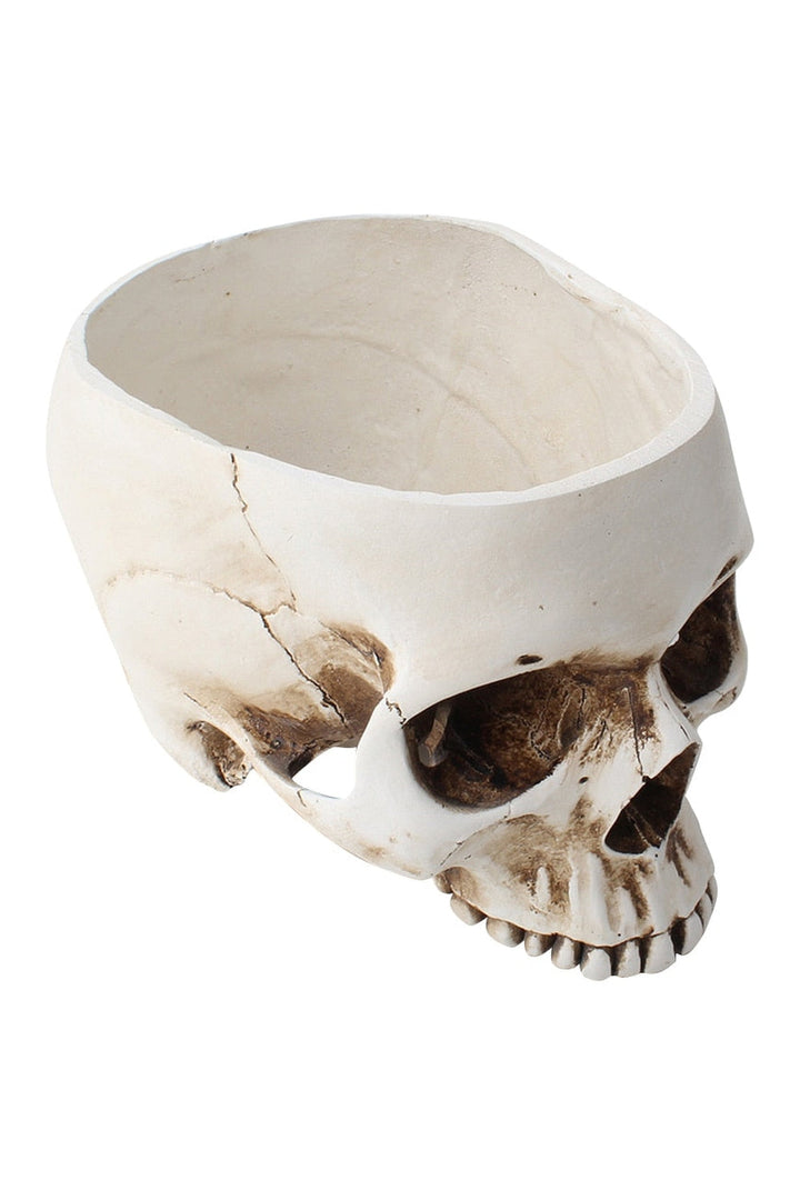 Lisslune | Motif flower pot