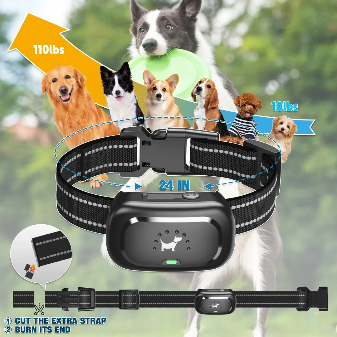 Lisslune | Dog Training Collar with Remote – Shock Lock, Sound & Vibration Modes, Waterproof, 1600ft Range