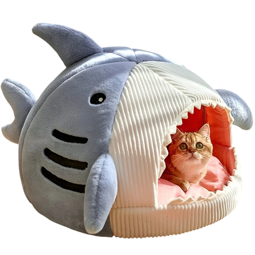 Lisslune | SoftBloom Shark Cat Bed – Cozy Hideaway for Indoor