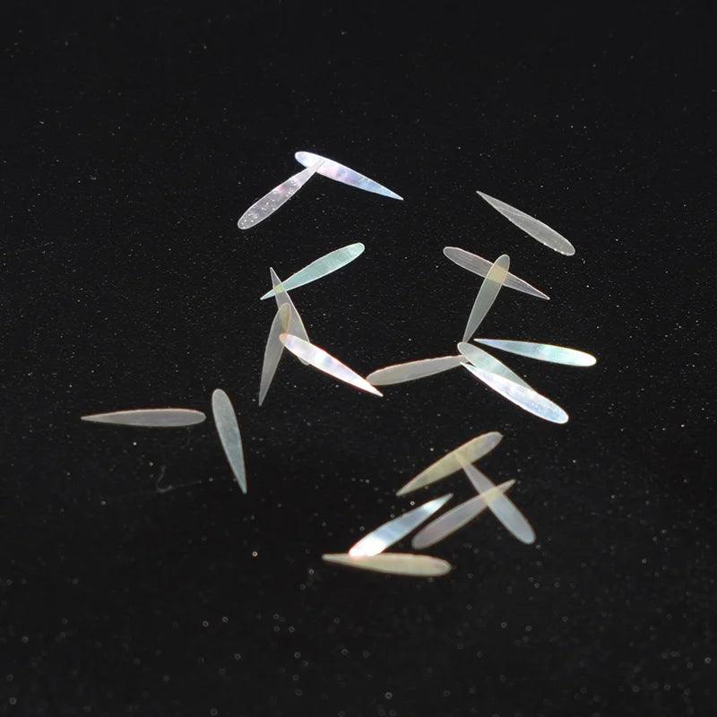 Lisslune | Stunning natural abalone shell fish tail pieces for creative jewelry and instrument inlays