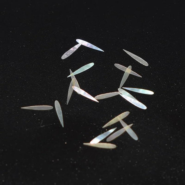 Lisslune | Stunning natural abalone shell fish tail pieces for creative jewelry and instrument inlays