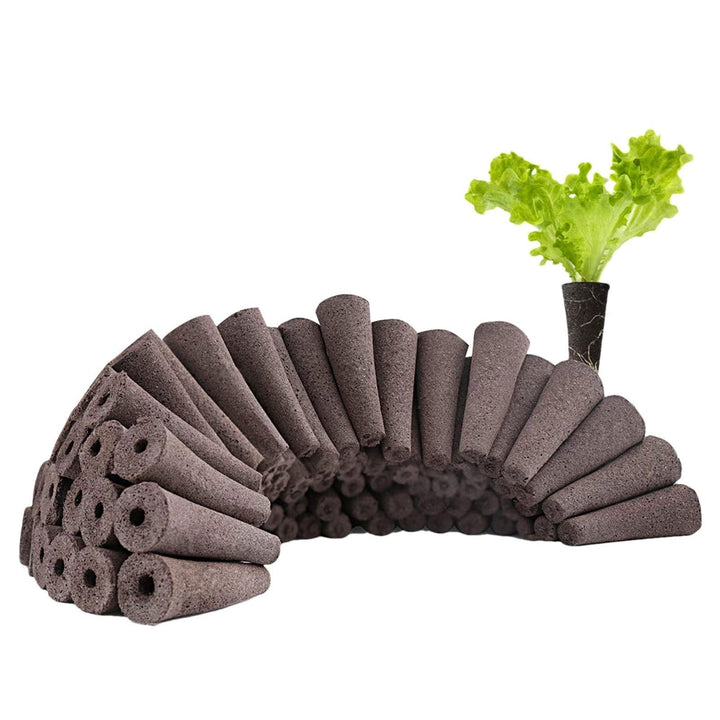 Lisslune | Carrot-Boosting Hydroponic Seedling Pods for Easy Gardening