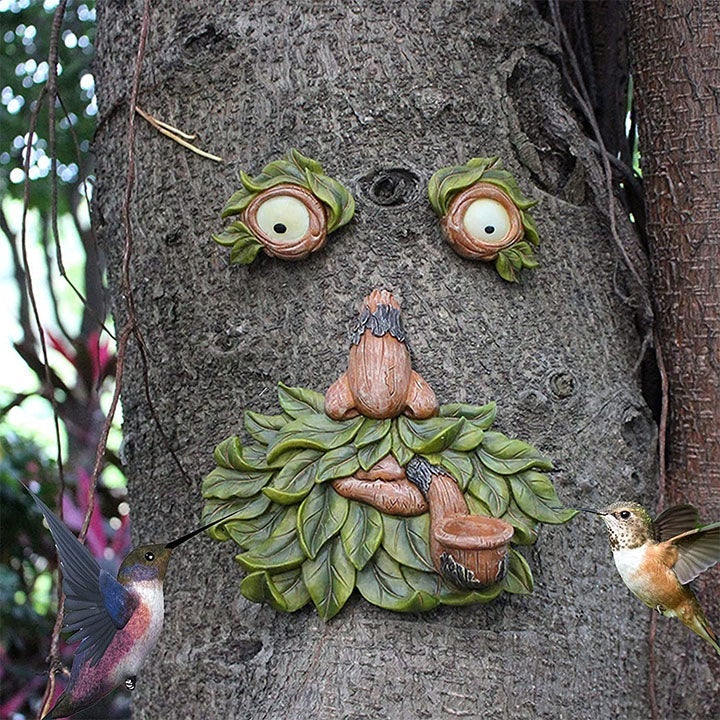 Lisslune | Eyes of Nature: Tree Face Bird Feeder Station